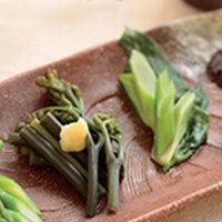 特大月山筍 山形県月山筍（がっさんだけ）細竹山菜｜清川屋
