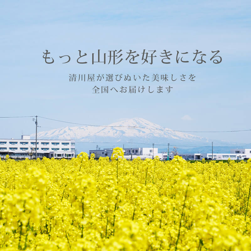 23yamagata-sl-sp-2.jpg