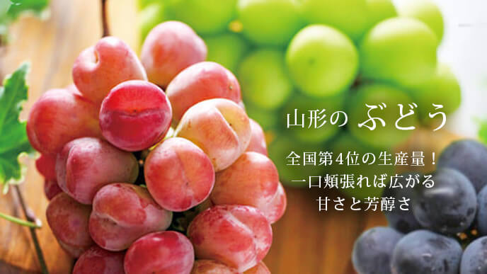 25budo-sl-pc.jpg