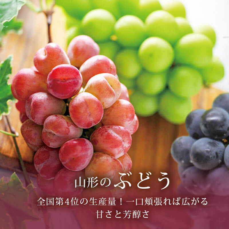 25budo-sl-sp.jpg
