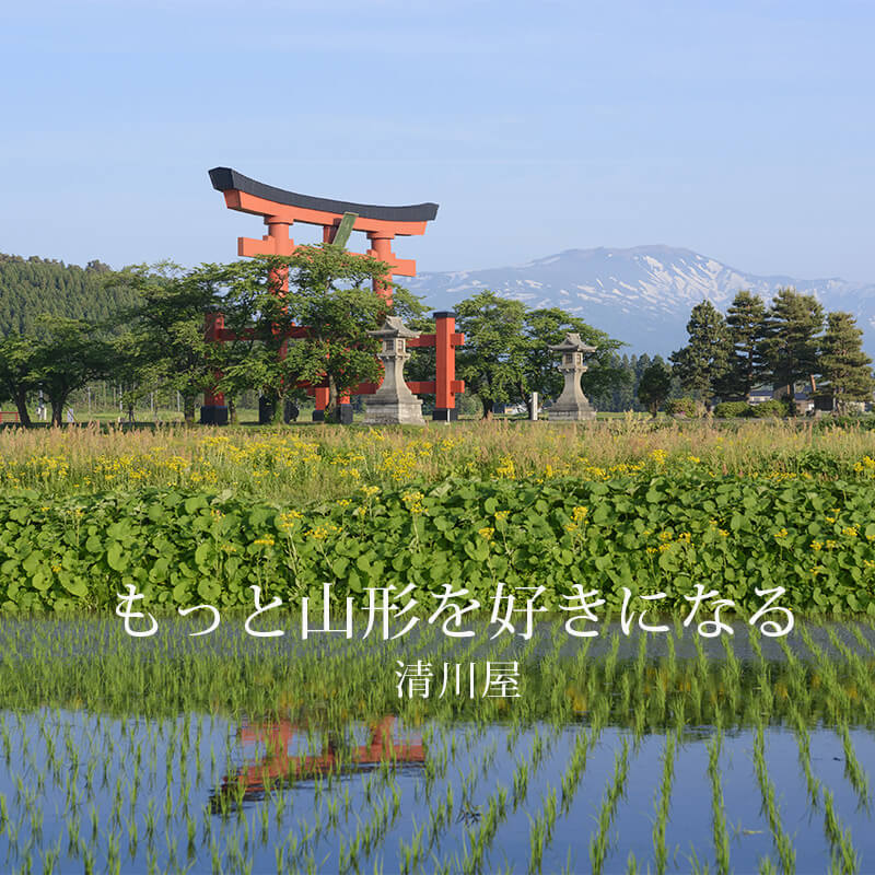 23yamagata-sl-sp-2.jpg