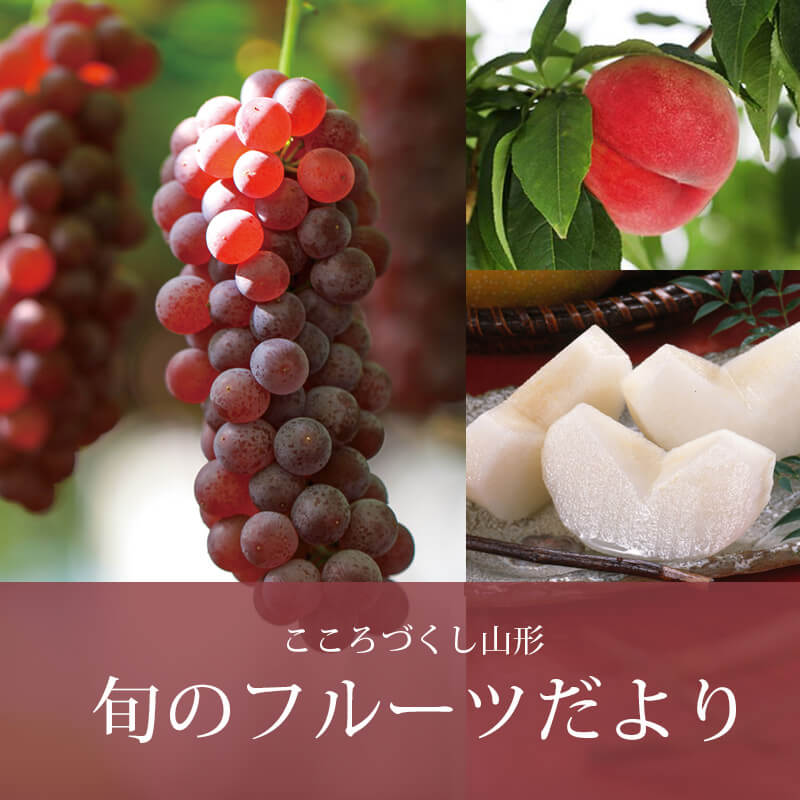 25sf-catalog-sl-sp.jpg