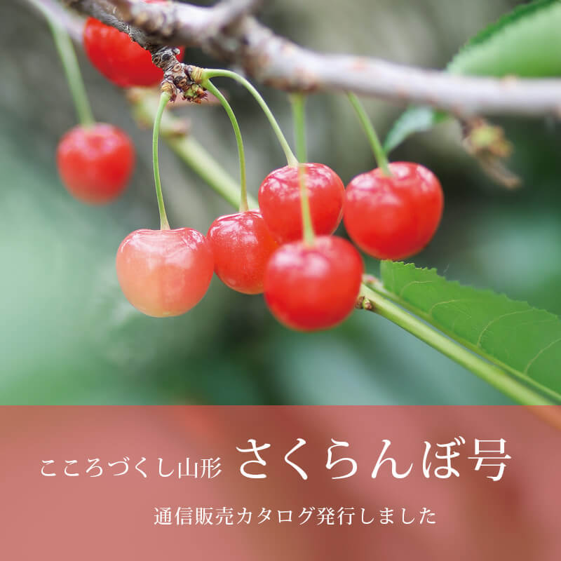 24wi-catalog-sl-sp.jpg