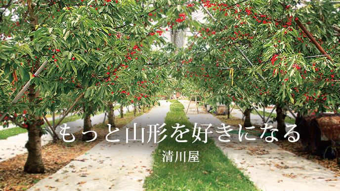 23motto-fuyu-sl-pc.jpg