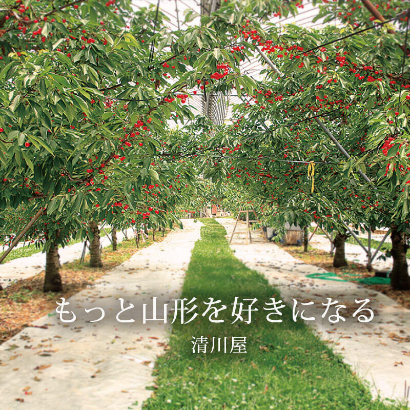 23yamagata-sl-sp-2.jpg