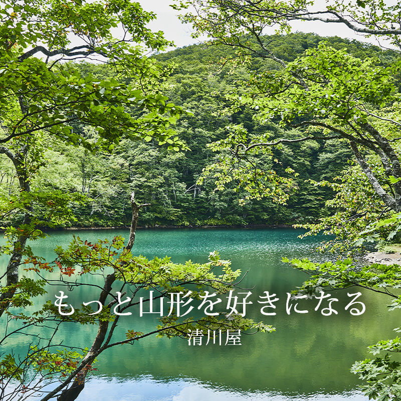 23yamagata-sl-sp-2.jpg