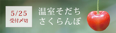 GL_banner_2
