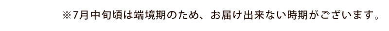 山形のメロンのお届け時期目安