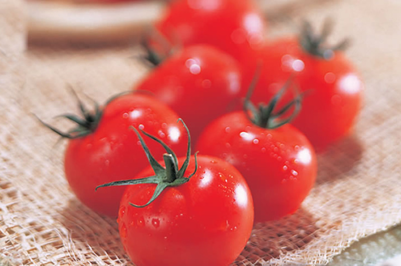 樹熟トマトイメージ画像1