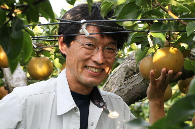 刈屋梨-伊藤さん