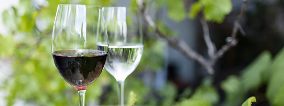 PC用ウッディファーム画像