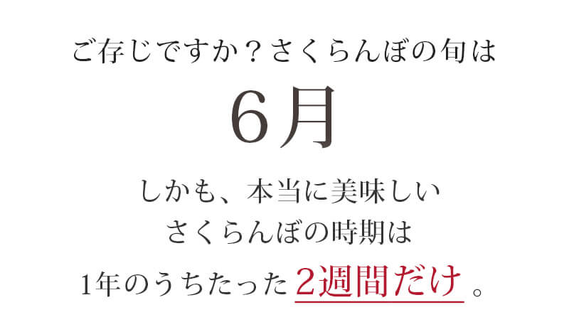 さくらんぼLP
