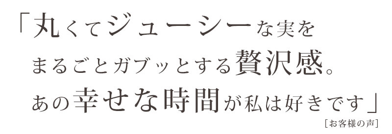 さくらんぼLP