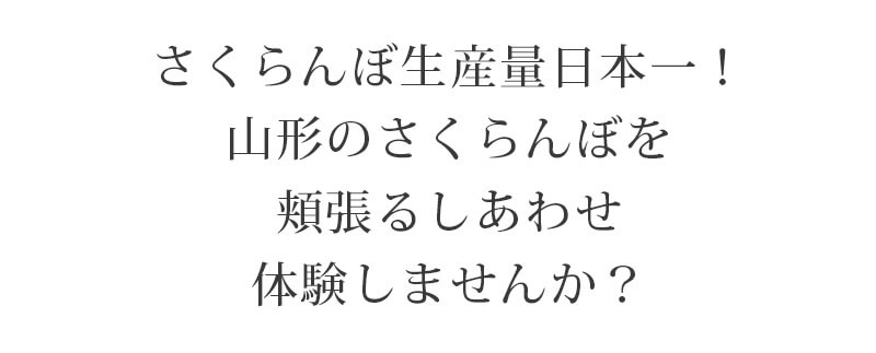 さくらんぼLP