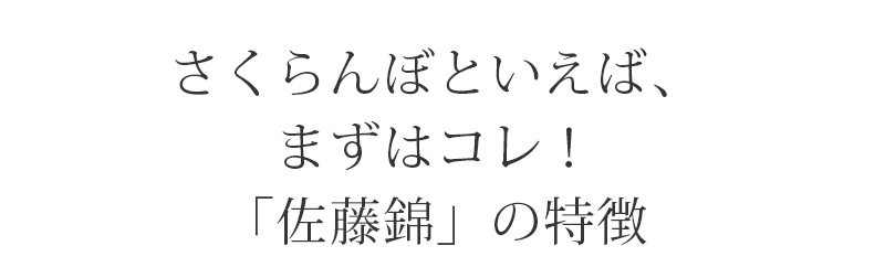 さくらんぼLP