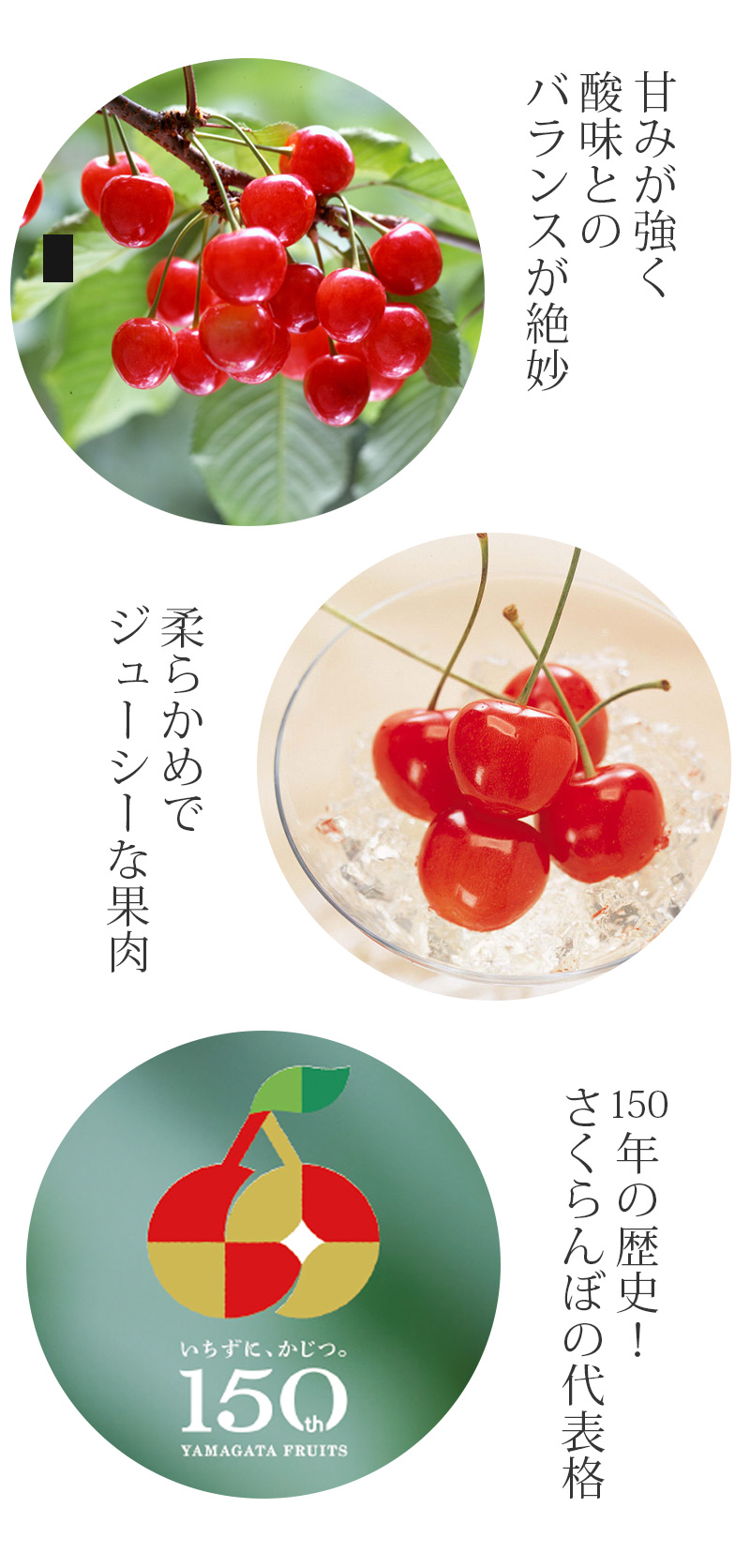さくらんぼLP