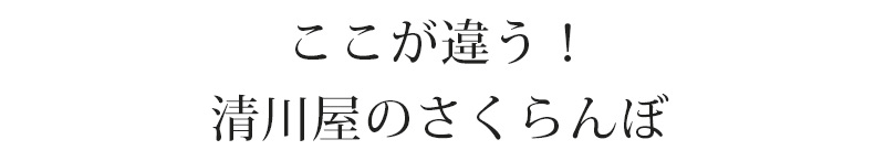 さくらんぼLP