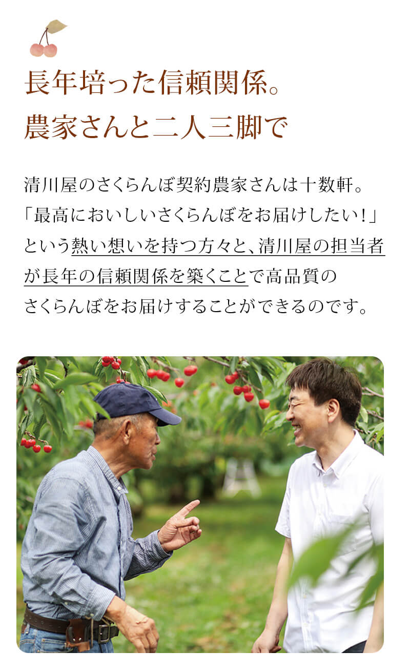 さくらんぼLP