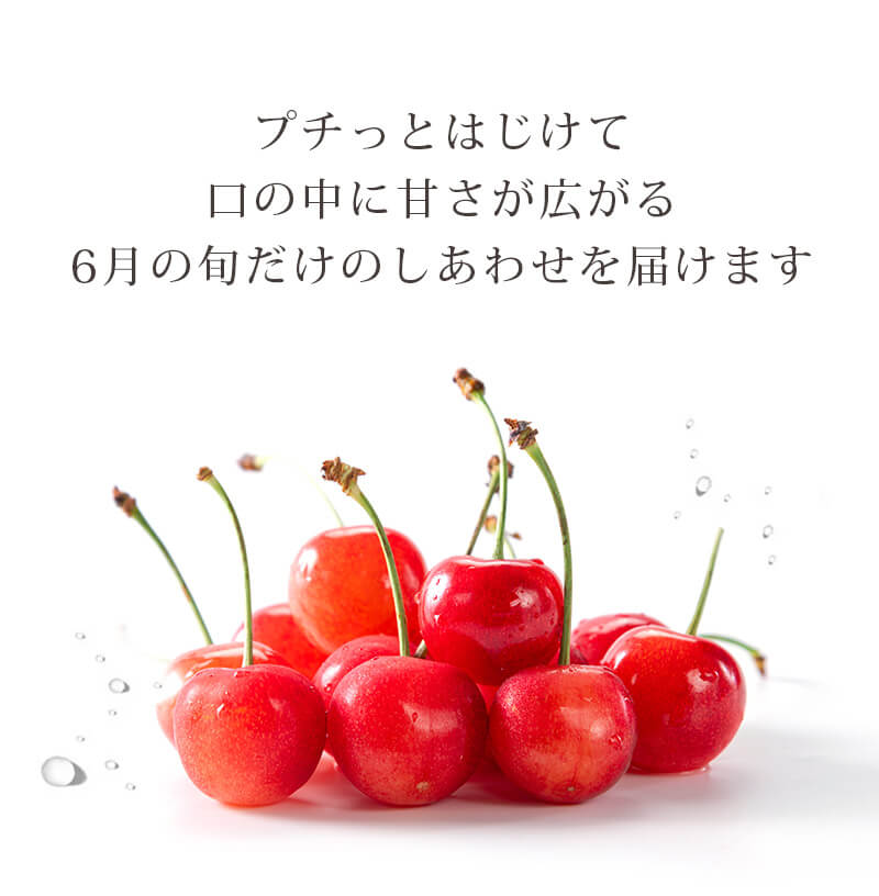 さくらんぼLP
