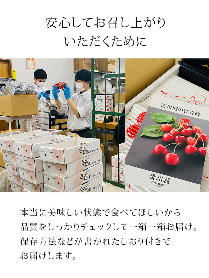 さくらんぼLP