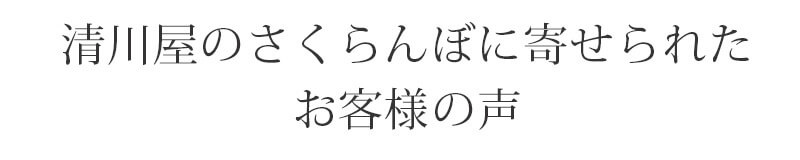 さくらんぼLP