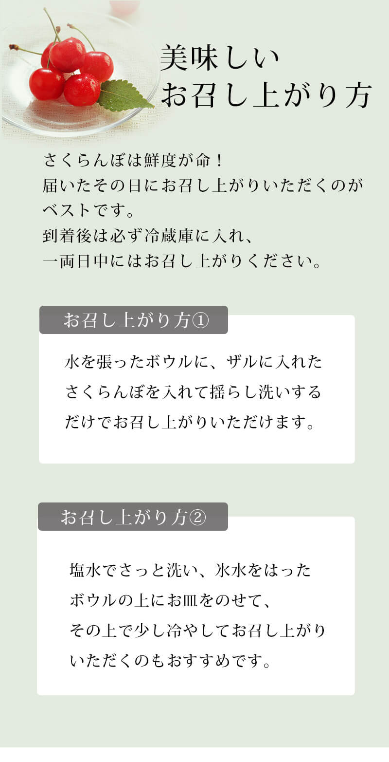 さくらんぼLP