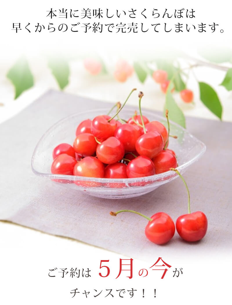 さくらんぼLP