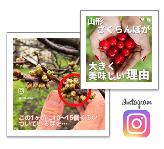 Instagramさくらんぼ