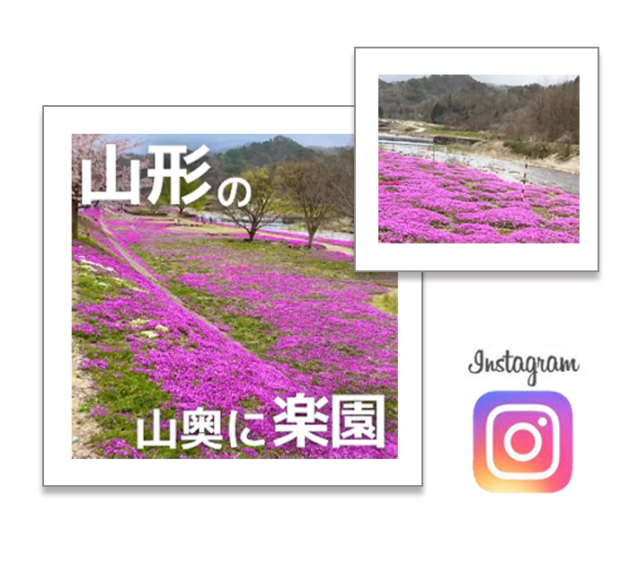 Instagramさくらんぼ