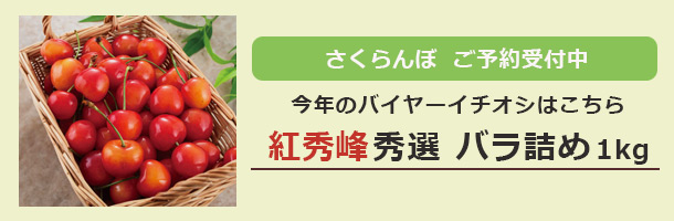 2024年イチオシ紅秀峰秀選はコチラ