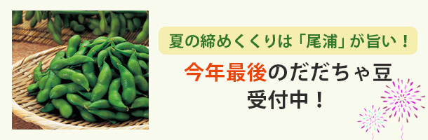 まだまにあいます！食べ納めに尾浦（晩生）だだちゃ豆受付中