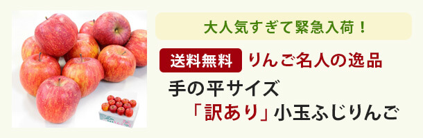 訳は小さいだけ！味は一級品　名人清野さんの和合平産訳あり小玉ふじ　送料無料