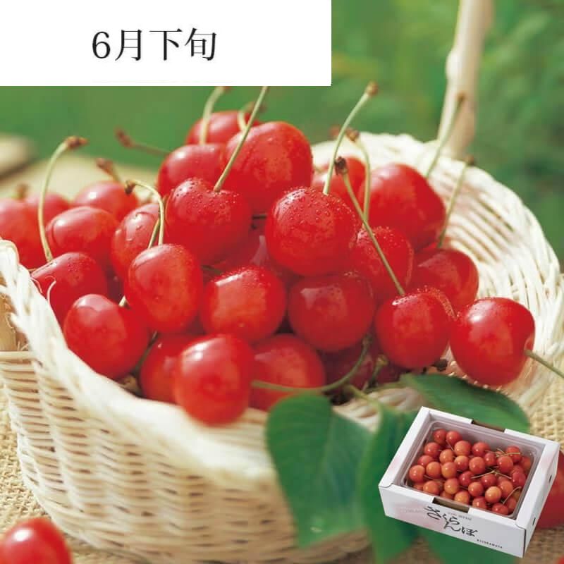 佐藤錦 秀選 バラ詰め L 500g | 清川屋