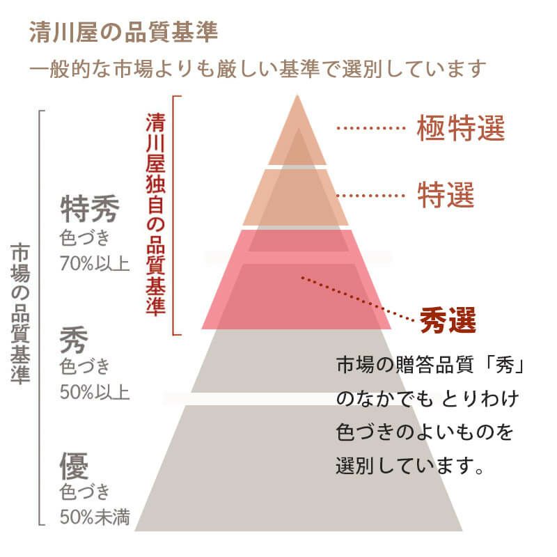 秀選佐藤錦 バラ詰め500g_お届け時期