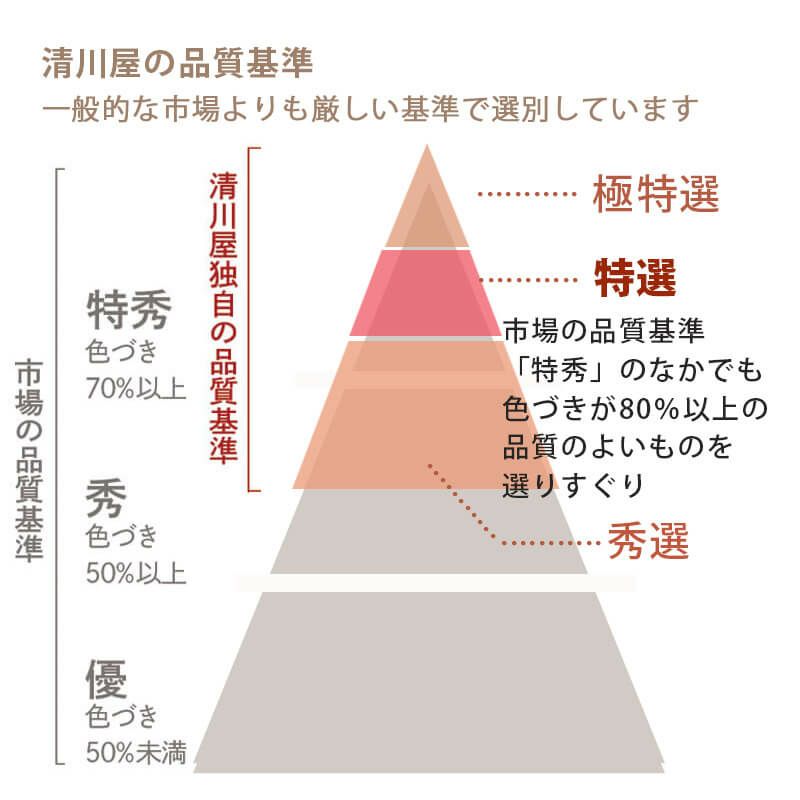 品質基準　特選