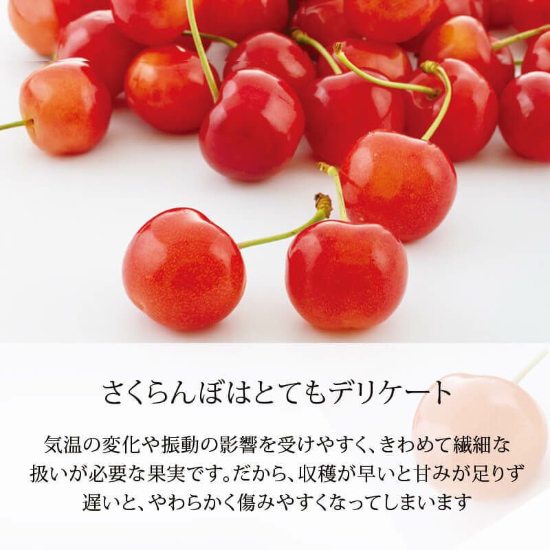 知っておいていただきたいことー２最高の一粒のために