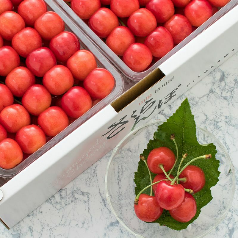 佐藤錦 特選 職人詰め L 1.2kg_イメージ