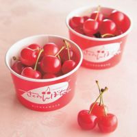 秀選佐藤錦 さくらんぼちゃん_パッケージイメージ