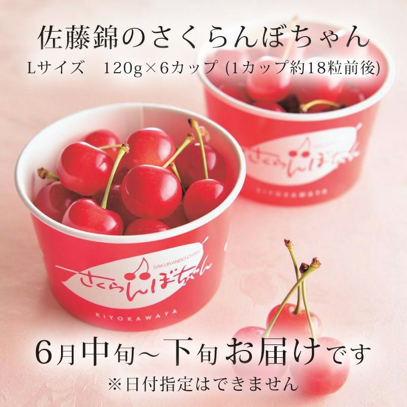 秀選佐藤錦 さくらんぼちゃん_イメージ