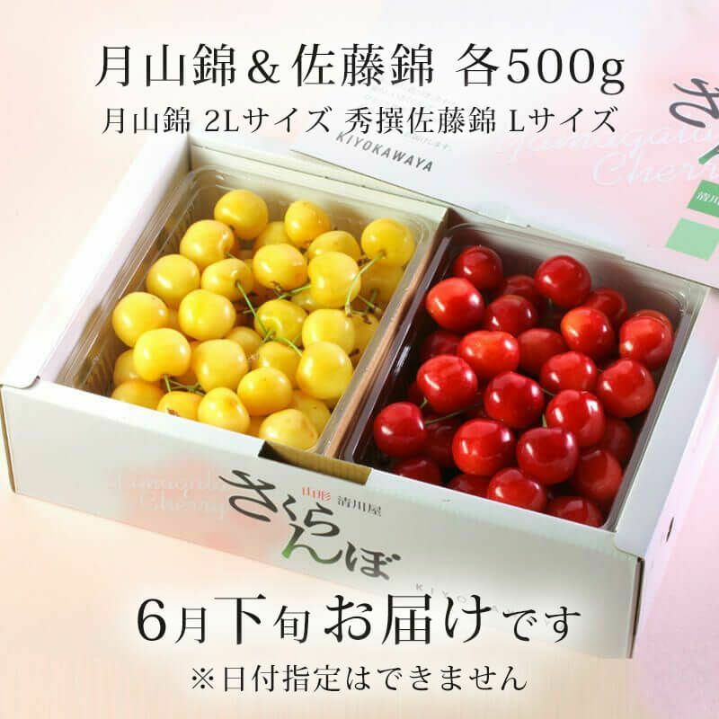 黄金のさくらんぼ 000000000008-03-l.jpg?t=