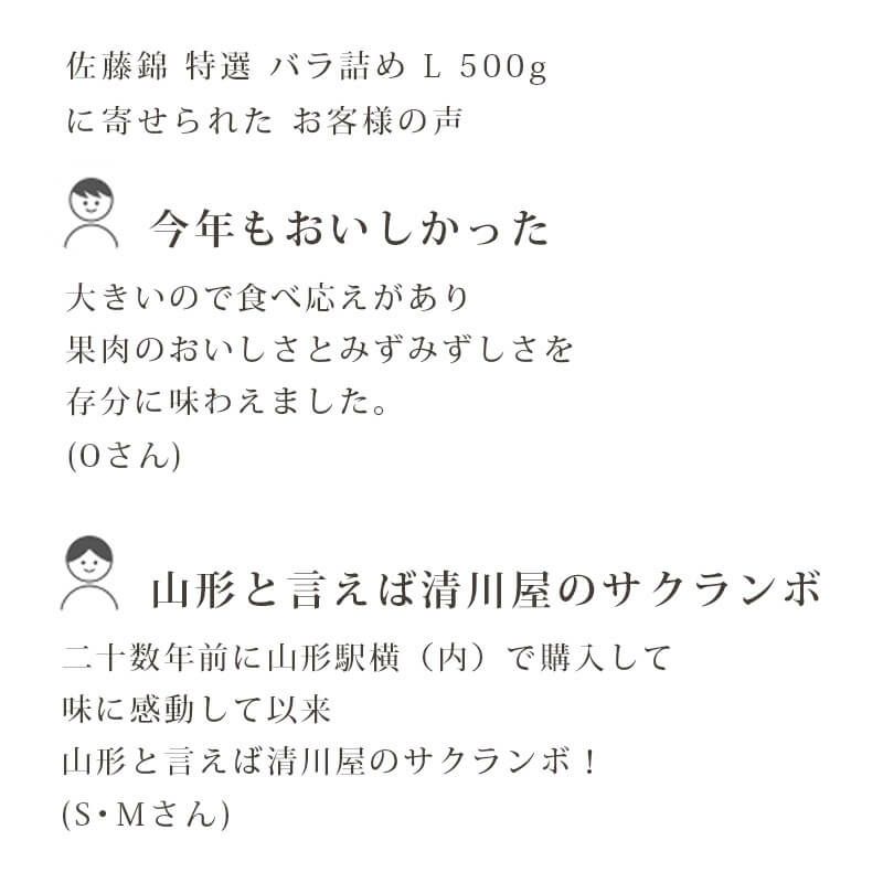 特選佐藤錦 バラ詰め500gお客様の声