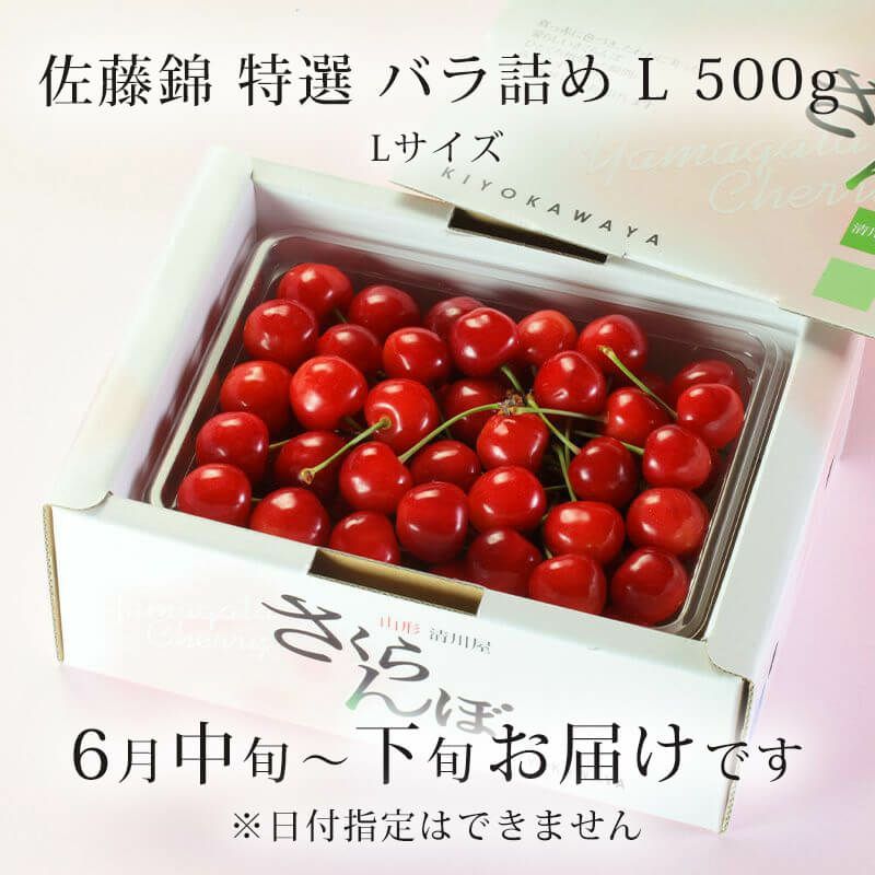 特選佐藤錦 バラ詰め500gお届け時期