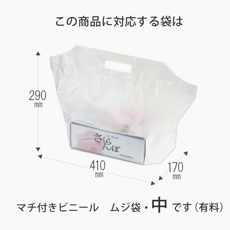 無地袋中