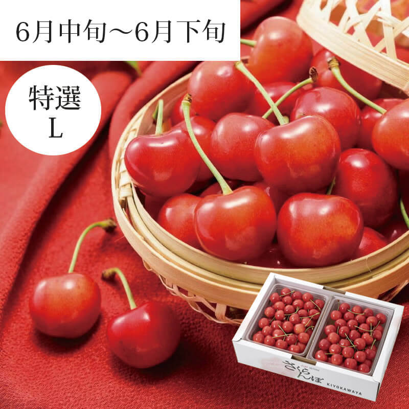  特選佐藤錦 バラ詰め 1kg