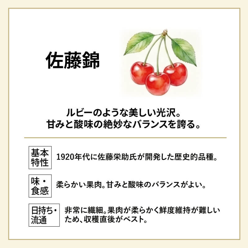 佐藤錦とは