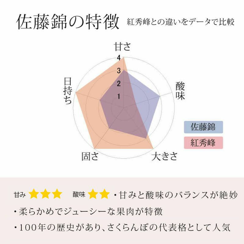 佐藤錦の特徴