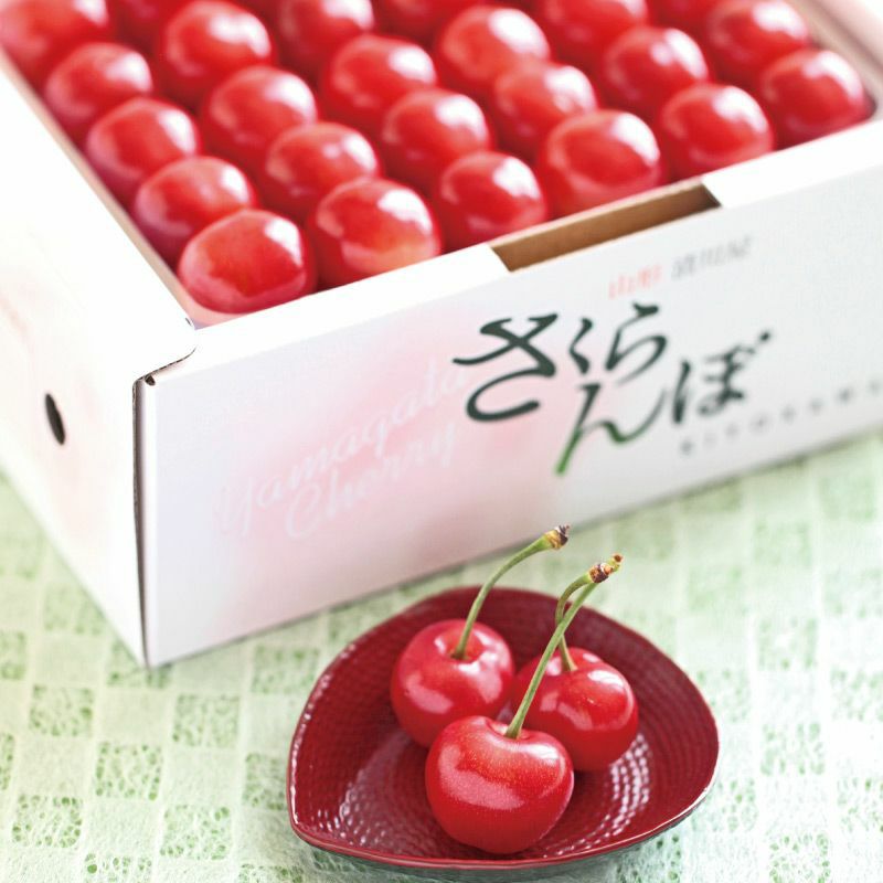 佐藤錦 特選 職人詰め 2L 600g