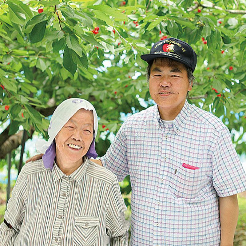 元祖佐藤錦 最高級_佐藤さん親子