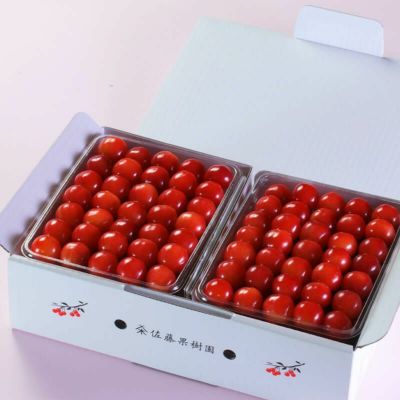元祖佐藤錦 最高級 名人詰め L 1.2kg