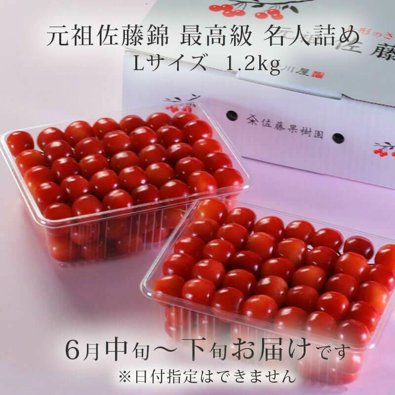 楽天市場】【2025年12月23日以降のお届け・予約品】桜の花 啓翁